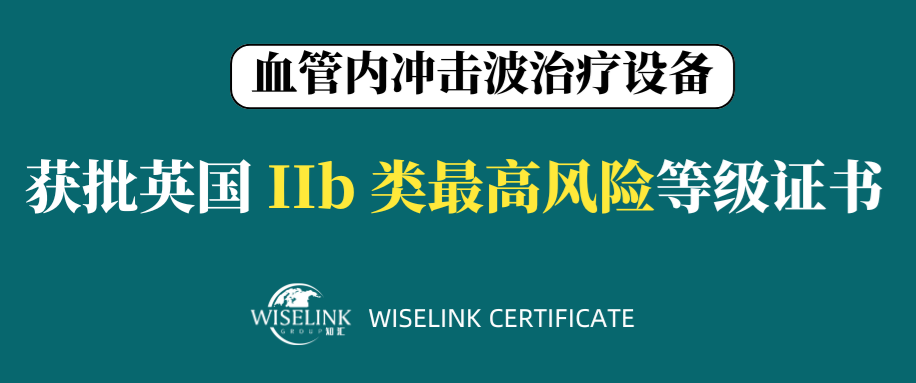 6天获证！高风险！零发补！冠脉血管内冲击波导管获批英国 III 类证书！